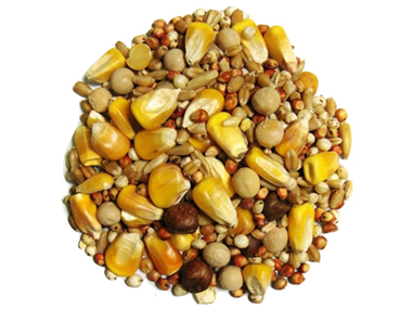 PREPARING FEEDING PARTICLES